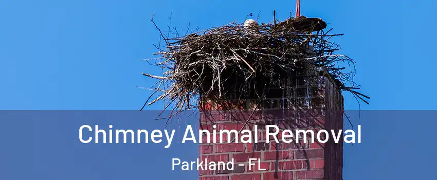  Chimney Animal Removal Parkland - FL