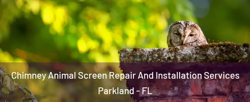  Chimney Animal Screen Repair And Installation Services Parkland - FL