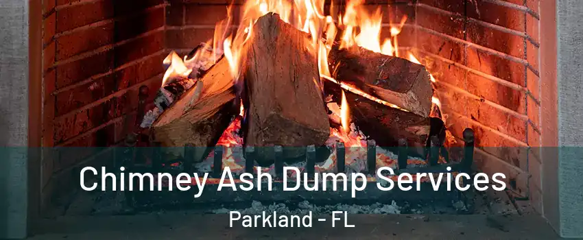  Chimney Ash Dump Services Parkland - FL