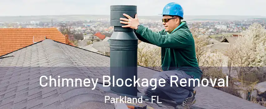  Chimney Blockage Removal Parkland - FL