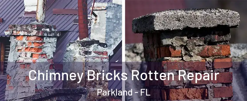 Chimney Bricks Rotten Repair Parkland - FL