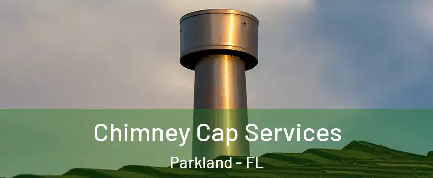  Chimney Cap Services Parkland - FL