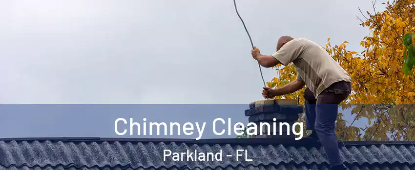  Chimney Cleaning Parkland - FL