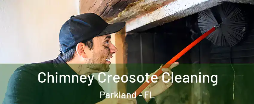  Chimney Creosote Cleaning Parkland - FL