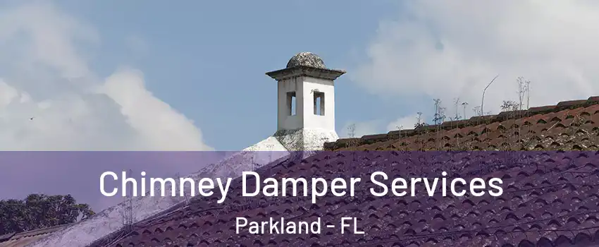  Chimney Damper Services Parkland - FL