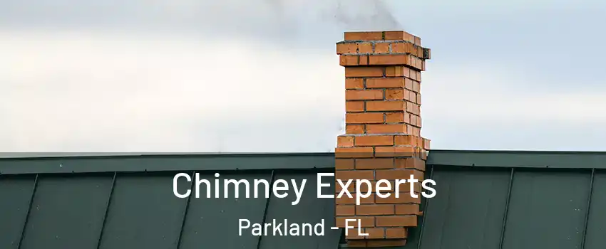 Chimney Experts Parkland - FL