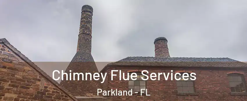  Chimney Flue Services Parkland - FL
