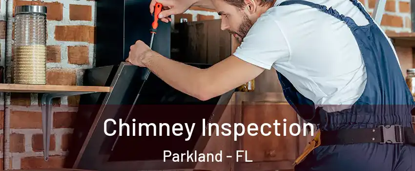  Chimney Inspection Parkland - FL