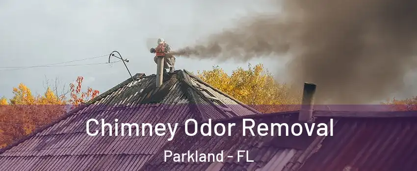  Chimney Odor Removal Parkland - FL