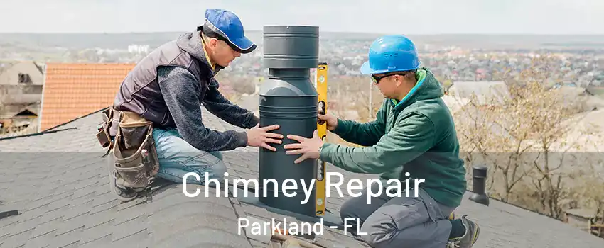  Chimney Repair Parkland - FL