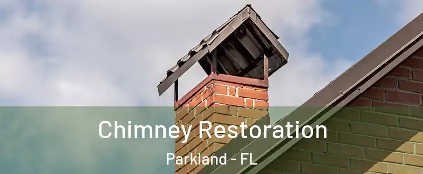  Chimney Restoration Parkland - FL