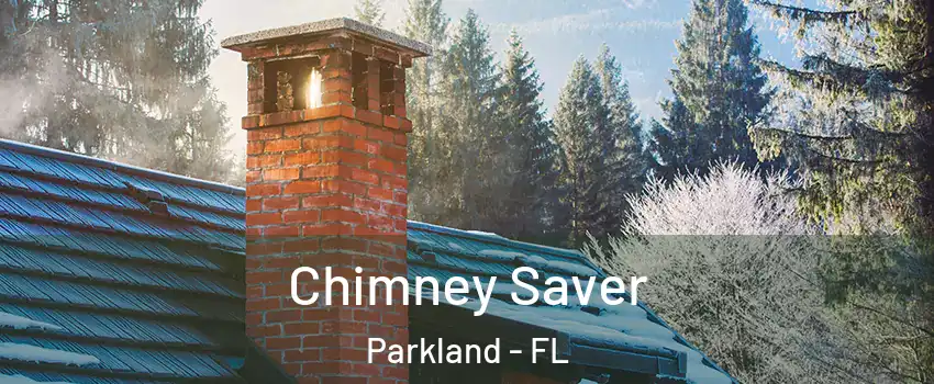  Chimney Saver Parkland - FL