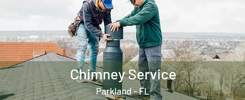  Chimney Service Parkland - FL