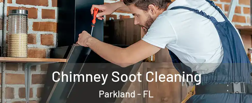  Chimney Soot Cleaning Parkland - FL