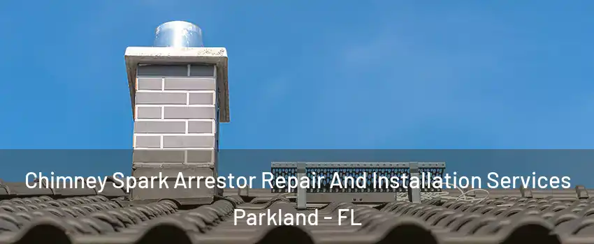  Chimney Spark Arrestor Repair And Installation Services Parkland - FL