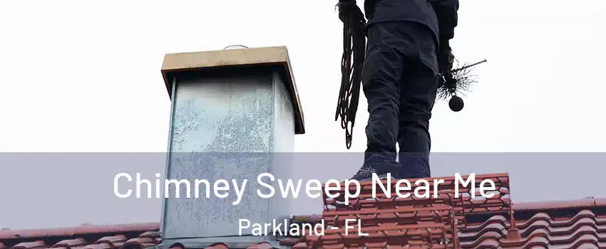  Chimney Sweep Near Me Parkland - FL