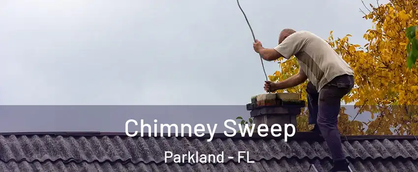  Chimney Sweep Parkland - FL