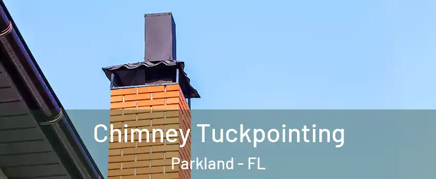  Chimney Tuckpointing Parkland - FL