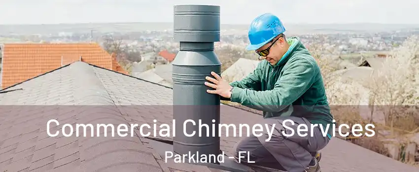  Commercial Chimney Services Parkland - FL