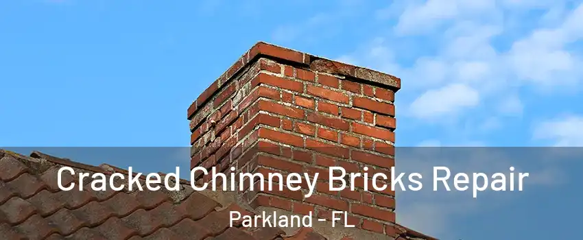  Cracked Chimney Bricks Repair Parkland - FL