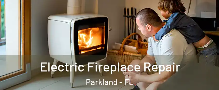  Electric Fireplace Repair Parkland - FL