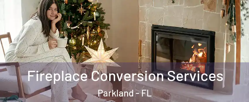  Fireplace Conversion Services Parkland - FL