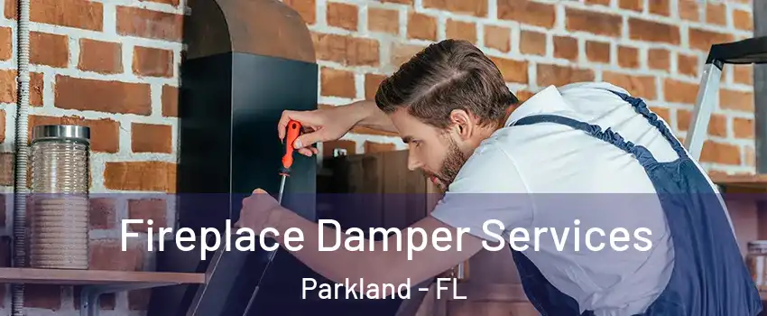  Fireplace Damper Services Parkland - FL