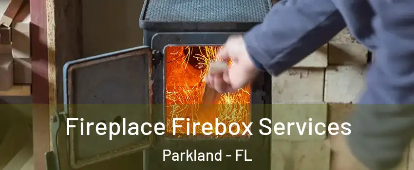  Fireplace Firebox Services Parkland - FL