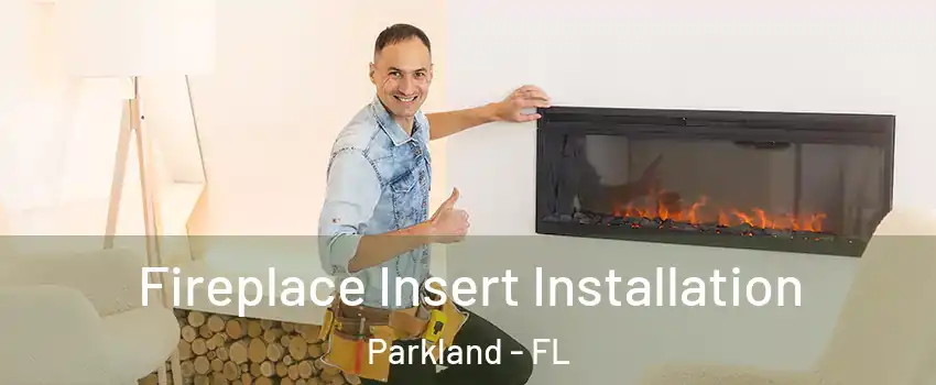  Fireplace Insert Installation Parkland - FL