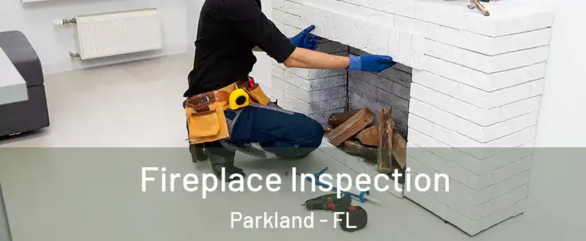  Fireplace Inspection Parkland - FL