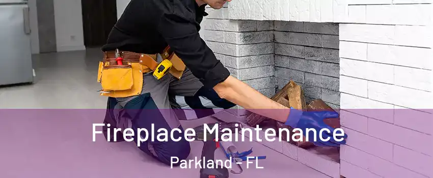  Fireplace Maintenance Parkland - FL