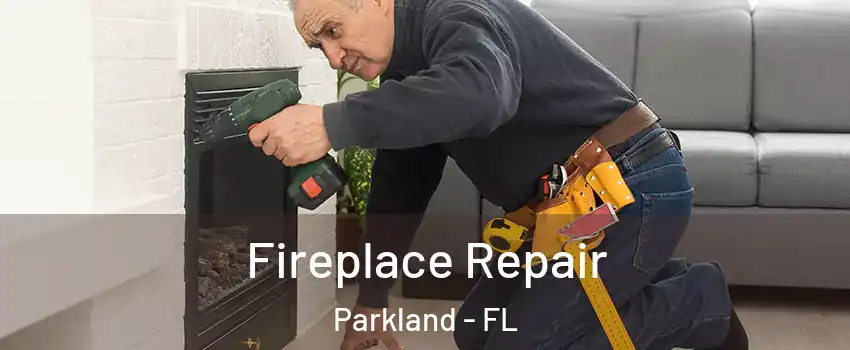  Fireplace Repair Parkland - FL