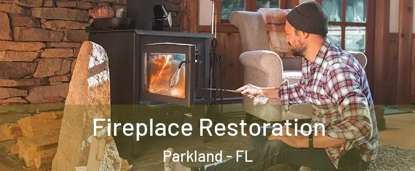  Fireplace Restoration Parkland - FL