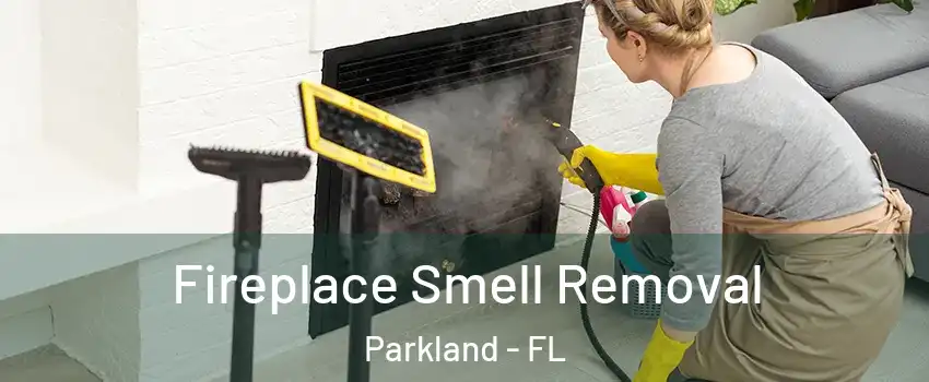  Fireplace Smell Removal Parkland - FL