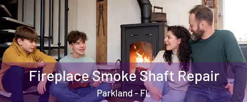  Fireplace Smoke Shaft Repair Parkland - FL