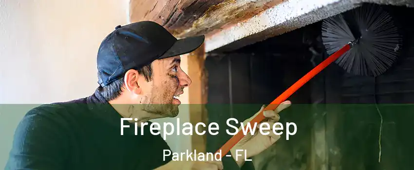  Fireplace Sweep Parkland - FL