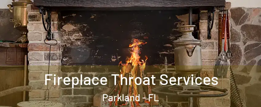  Fireplace Throat Services Parkland - FL