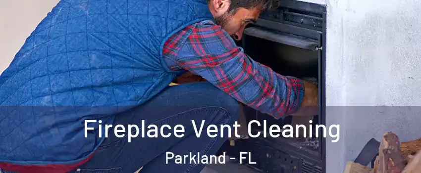  Fireplace Vent Cleaning Parkland - FL
