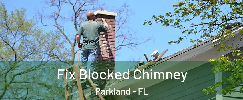  Fix Blocked Chimney Parkland - FL