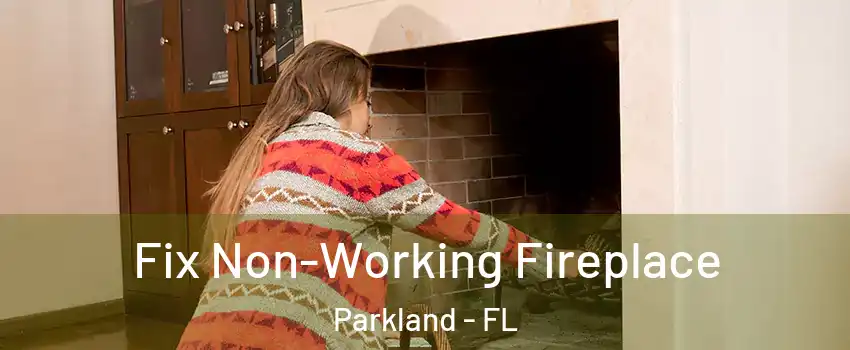  Fix Non-Working Fireplace Parkland - FL