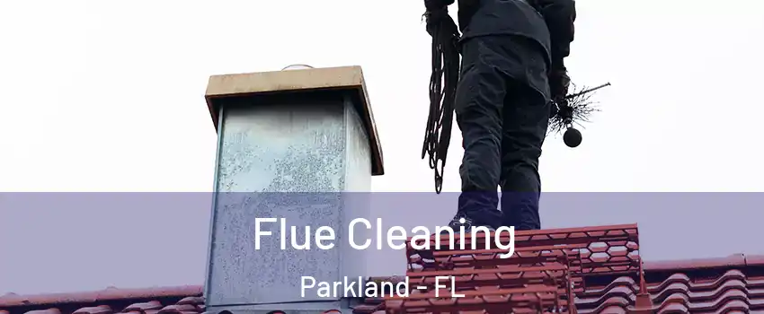  Flue Cleaning Parkland - FL