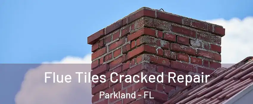  Flue Tiles Cracked Repair Parkland - FL