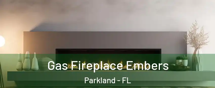  Gas Fireplace Embers Parkland - FL