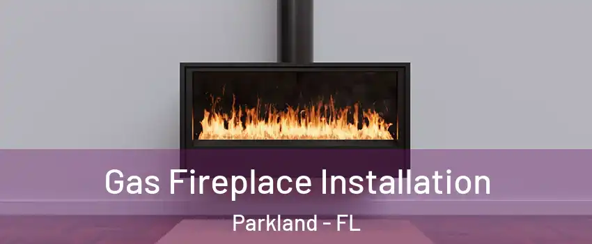  Gas Fireplace Installation Parkland - FL