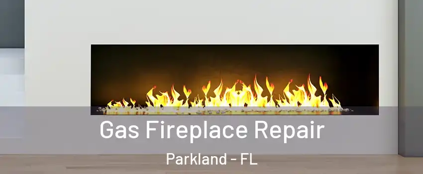  Gas Fireplace Repair Parkland - FL