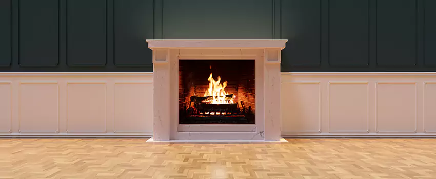 Napoleon Electric Fireplaces Inspection Service in Parkland, Florida