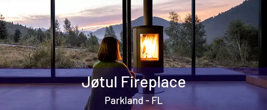  Jøtul Fireplace Parkland - FL