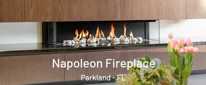  Napoleon Fireplace Parkland - FL