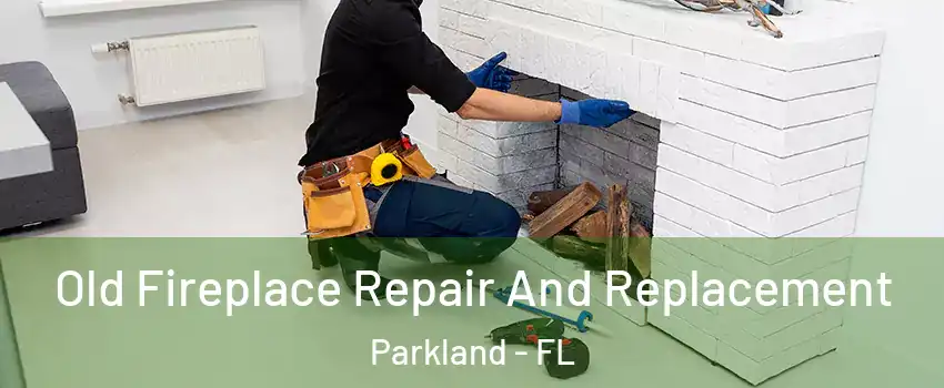  Old Fireplace Repair And Replacement Parkland - FL