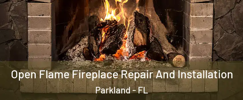  Open Flame Fireplace Repair And Installation Parkland - FL